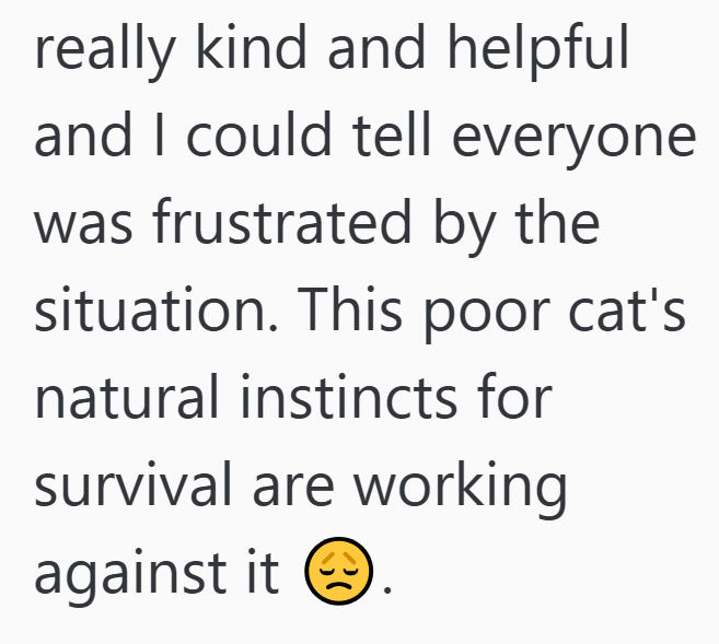 really kind and helpful and I could tell everyone was frustrated by the situation. This poor cat's natural instincts for survival are working against it.