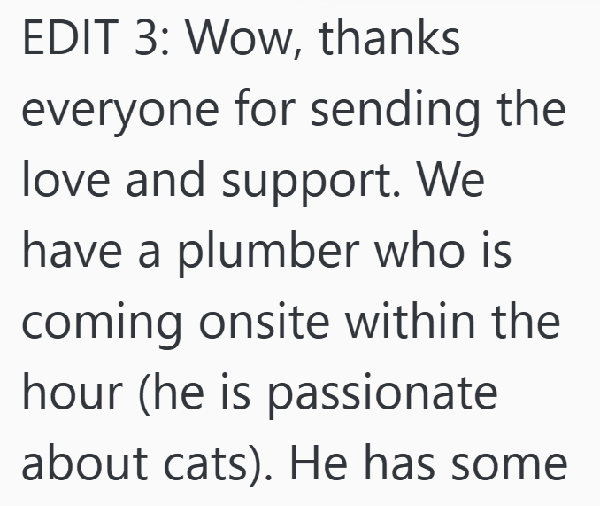 EDIT 3: Wow, thanks everyone for sending the love and support. We have a plumber who is coming onsite within the hour (he is passionate about cats). He has some