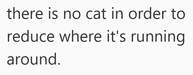 there is no cat in order to reduce where it's running around.