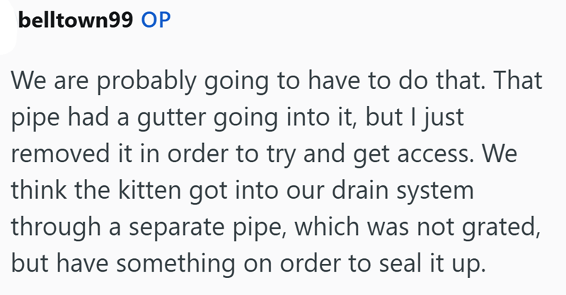 belltown99 OP We are probably going to have to do that. That pipe had a gutter going into it, but I just removed it in order to try and get access. We think the kitten got into our drain system through a separate pipe, which was not grated, but have something on order to seal it up.