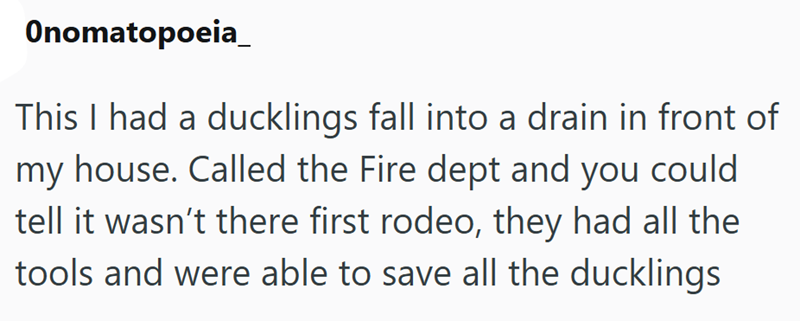 Onomatopoeia_ This I had a ducklings fall into a drain in front of my house. Called the Fire dept and you could tell it wasn't there first rodeo, they had all the tools and were able to save all the ducklings