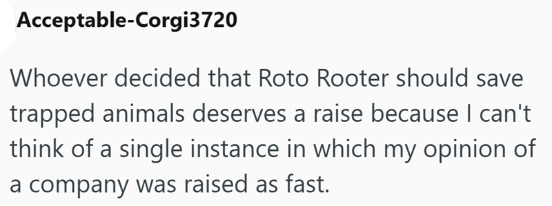Acceptable-Corgi3720 Whoever decided that Roto Rooter should save trapped animals deserves a raise because I can't think of a single instance in which my opinion of a company was raised as fast.