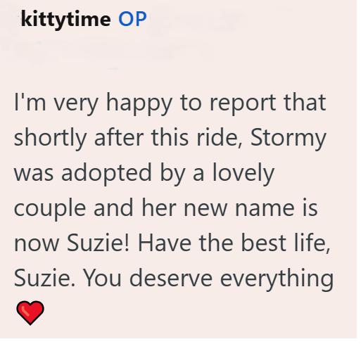 kittytime OP I'm very happy to report that shortly after this ride, Stormy was adopted by a lovely couple and her new name is now Suzie! Have the best life, Suzie. You deserve everything