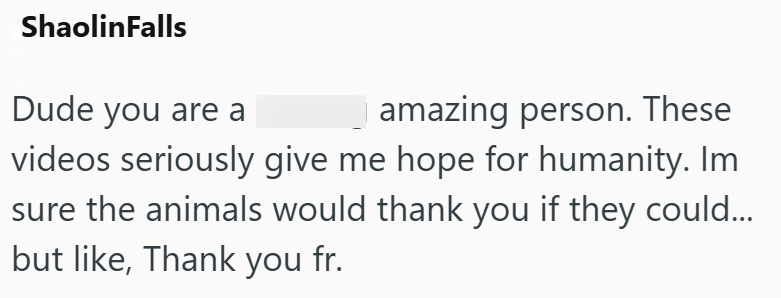 ShaolinFalls Dude you are a amazing person. These videos seriously give me hope for humanity. Im sure the animals would thank you if they could... but like, Thank you fr.