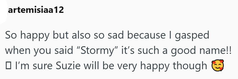 artemisiaa 12 So happy but also so sad because I gasped when you said "Stormy" it's such a good name!! I'm sure Suzie will be very happy though