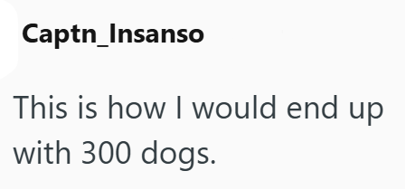 Captn_Insanso This is how I would end up with 300 dogs.