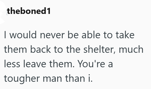 theboned1 I would never be able to take them back to the shelter, much less leave them. You're a tougher man than i.