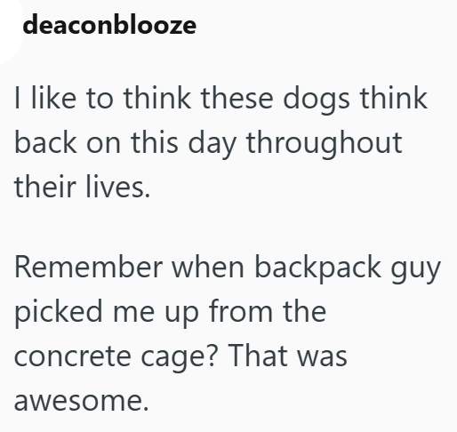 deaconblooze I like to think these dogs think back on this day throughout their lives. Remember when backpack guy picked me up from the concrete cage? That was awesome.