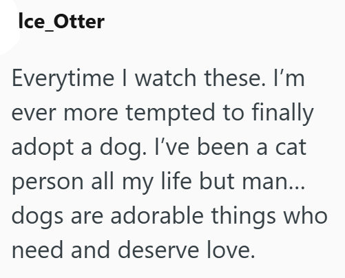 Ice_Otter Everytime I watch these. I'm ever more tempted to finally adopt a dog. I've been a cat person all my life but man... dogs are adorable things who need and deserve love.