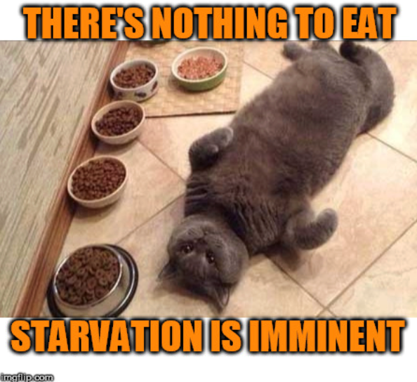 THERE'S NOTHING TO EAT STARVATION IS IMMINENT imgflip.com