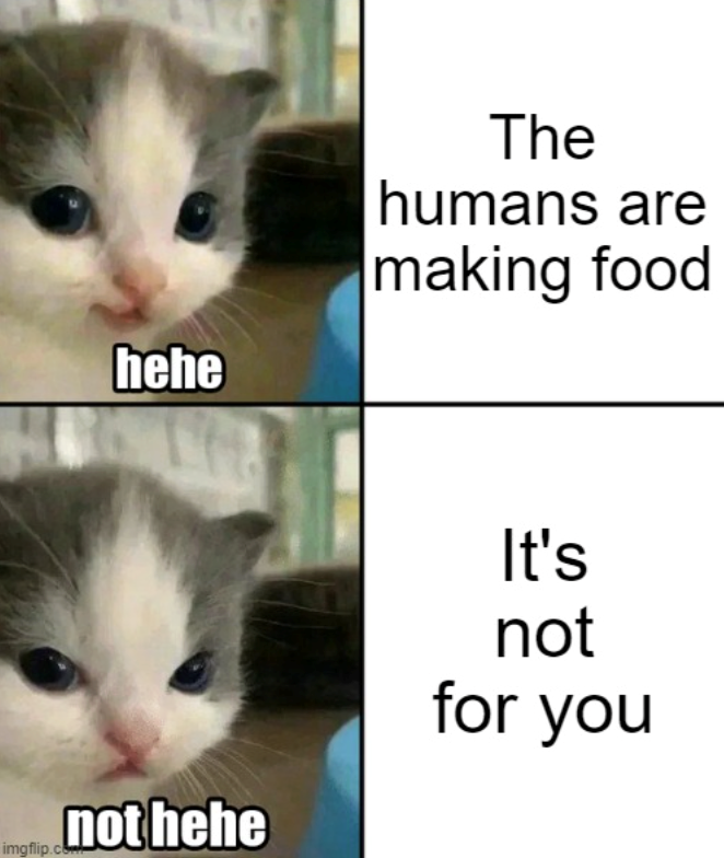 imgflip.com hehe The humans are making food not hehe It's not for you