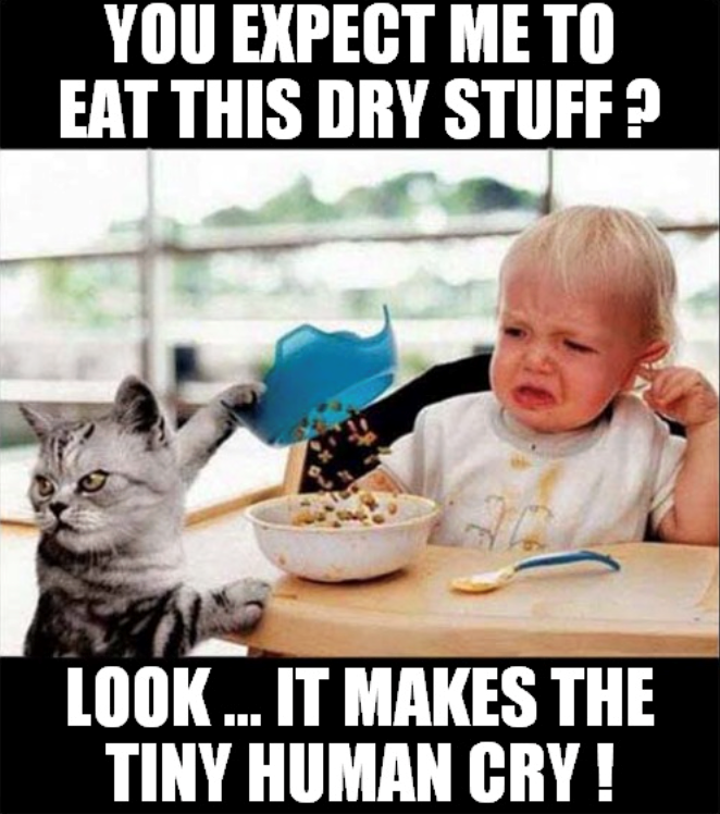 YOU EXPECT ME TO EAT THIS DRY STUFF? LOOK ... IT MAKES THE TINY HUMAN CRY!