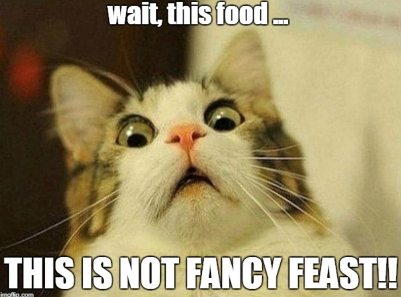 wait, this food.. THIS IS NOT FANCY FEAST!! imaflip.com