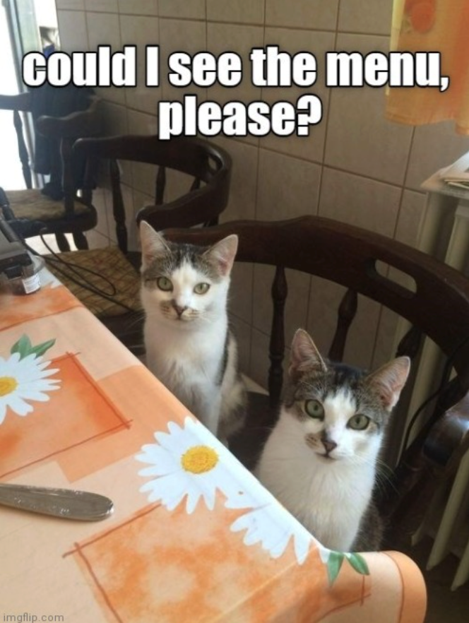 Could I see the menu, please? imgflip.com