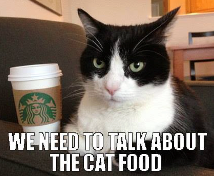 WE NEED TO TALK ABOUT THE CAT FOOD