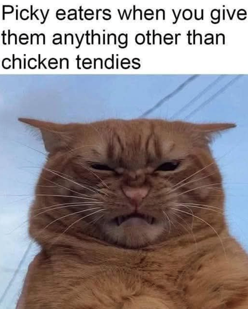 Picky eaters when you give them anything other than chicken tendies