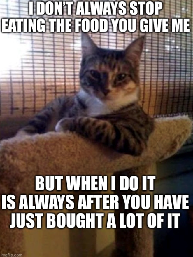 I DON'T ALWAYS STOP EATING THE FOOD YOU GIVE ME BUT WHEN I DO IT IS ALWAYS AFTER YOU HAVE JUST BOUGHT A LOT OF IT imgflip.com