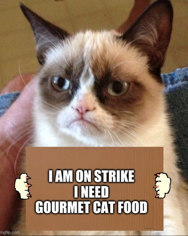 mgflip.com I AM ON STRIKE I NEED GOURMET CAT FOOD