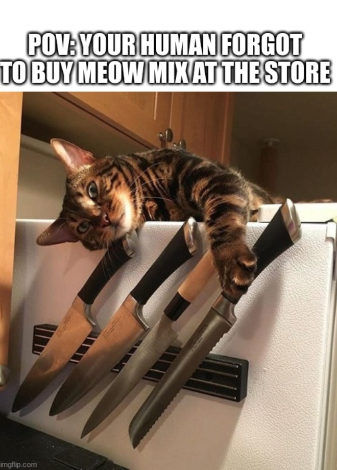POV: YOUR HUMAN FORGOT TO BUY MEOW MIX AT THE STORE imgflip.com