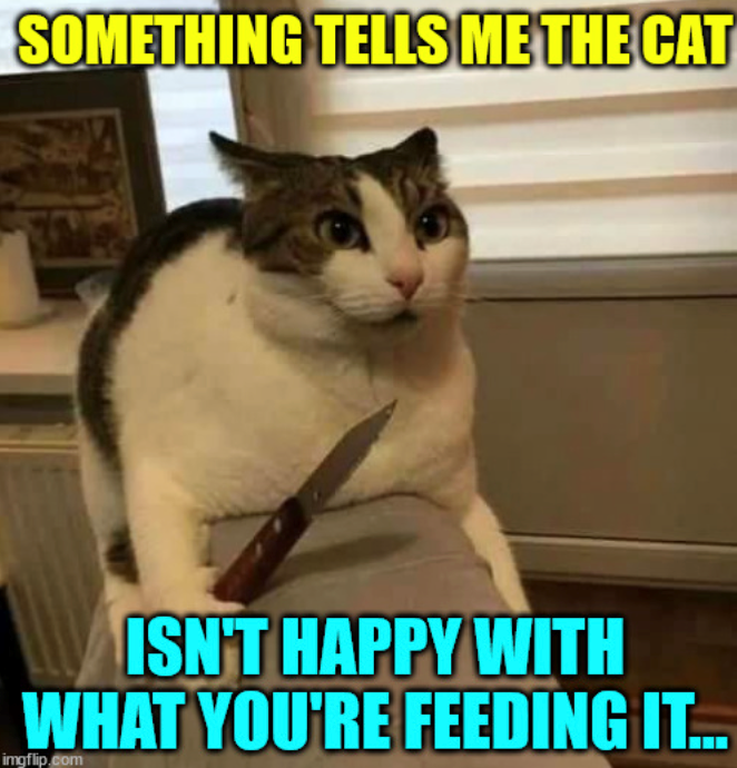 SOMETHING TELLS ME THE CAT ISN'T HAPPY WITH WHAT YOU'RE FEEDING IT... imgflip.com