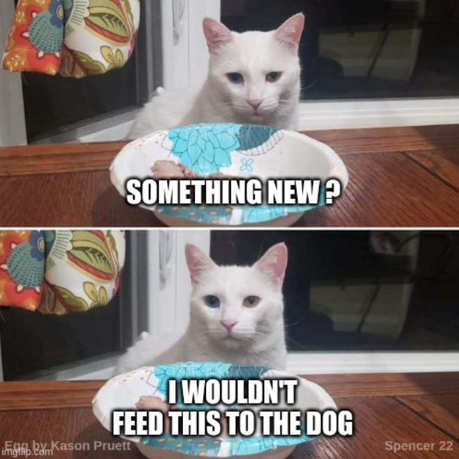 88 SOMETHING NEW? I WOULDN'T FEED THIS TO THE DOG Egg by Kason Pruett imgflip.com Spencer 22