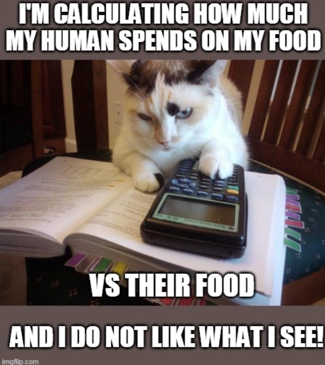 I'M CALCULATING HOW MUCH MY HUMAN SPENDS ON MY FOOD VS THEIR FOOD AND I DO NOT LIKE WHAT I SEE! imgflip.com
