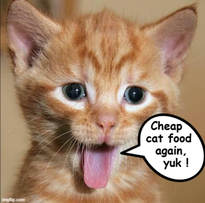 imgflip.com Cheap cat food again, yuk!