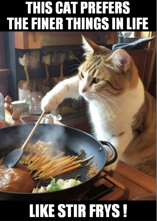 THIS CAT PREFERS THE FINER THINGS IN LIFE LIKE STIR FRYS!