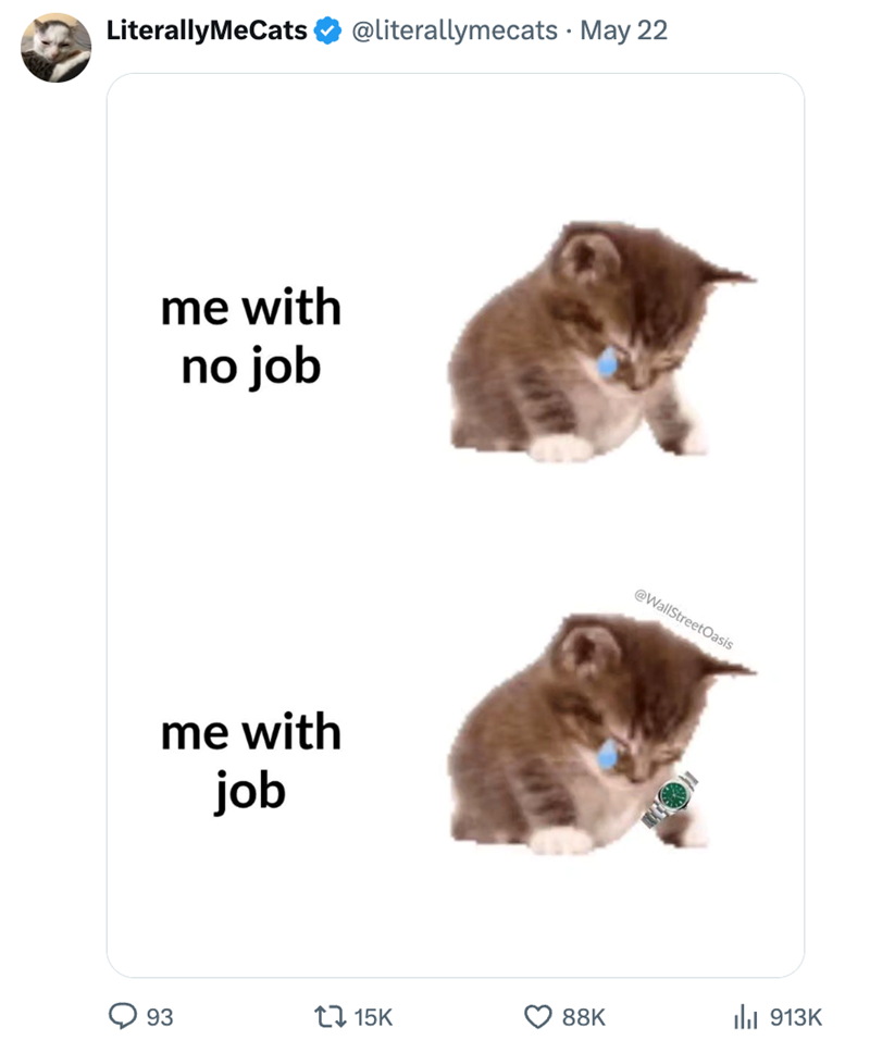 LiterallyMeCats @literallymecats. May 22 me with no job me with job @WallStreetOasis 93 15K 88K ılı 913K