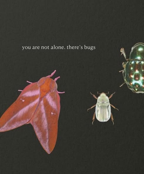 you are not alone. there's bugs