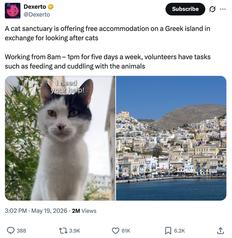 Dexerto @Dexerto Subscribe A cat sanctuary is offering free accommodation on a Greek island in exchange for looking after cats Working from 8am - 1pm for five days a week, volunteers have tasks such as feeding and cuddling with the animals I need your help! 3:02 PM May 19, 2026 - 2M Views 388 13.9K Bordule 61K 6.2K <]