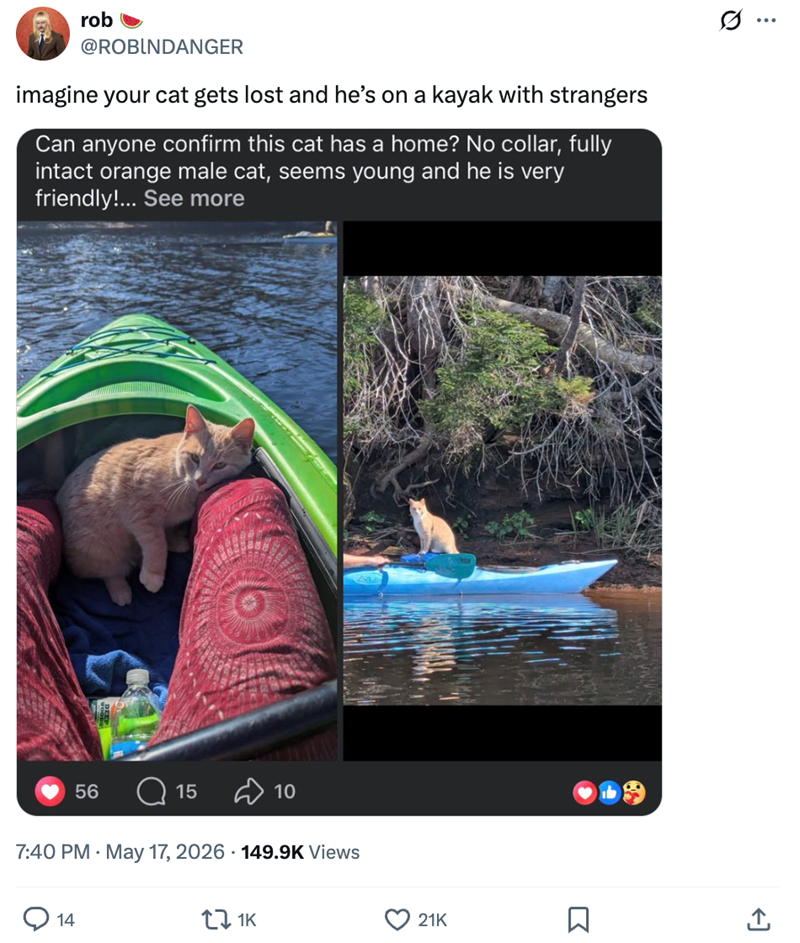 rob @ROBINDANGER imagine your cat gets lost and he's on a kayak with strangers Can anyone confirm this cat has a home? No collar, fully intact orange male cat, seems young and he is very friendly!... See more Ø.. 56 15 10 7:40 PM - May 17, 2026 149.9K Views 14 171K 21K Σ