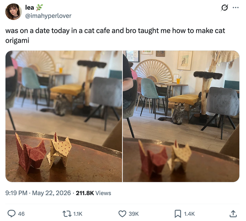 lea @imahyperlover was on a date today in a cat cafe and bro taught me how to make cat origami 9:19 PM May 22, 2026 211.8K Views 46 1.1K 39K 1.4K ←