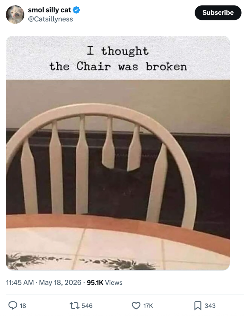 smol silly cat @Catsillyness I thought the Chair was broken . 11:45 AM • May 18, 2026 95.1K Views 18 546 Subscribe 17K 343