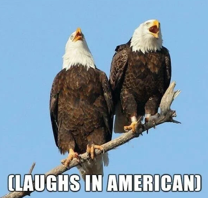 (LAUGHS IN AMERICAN)