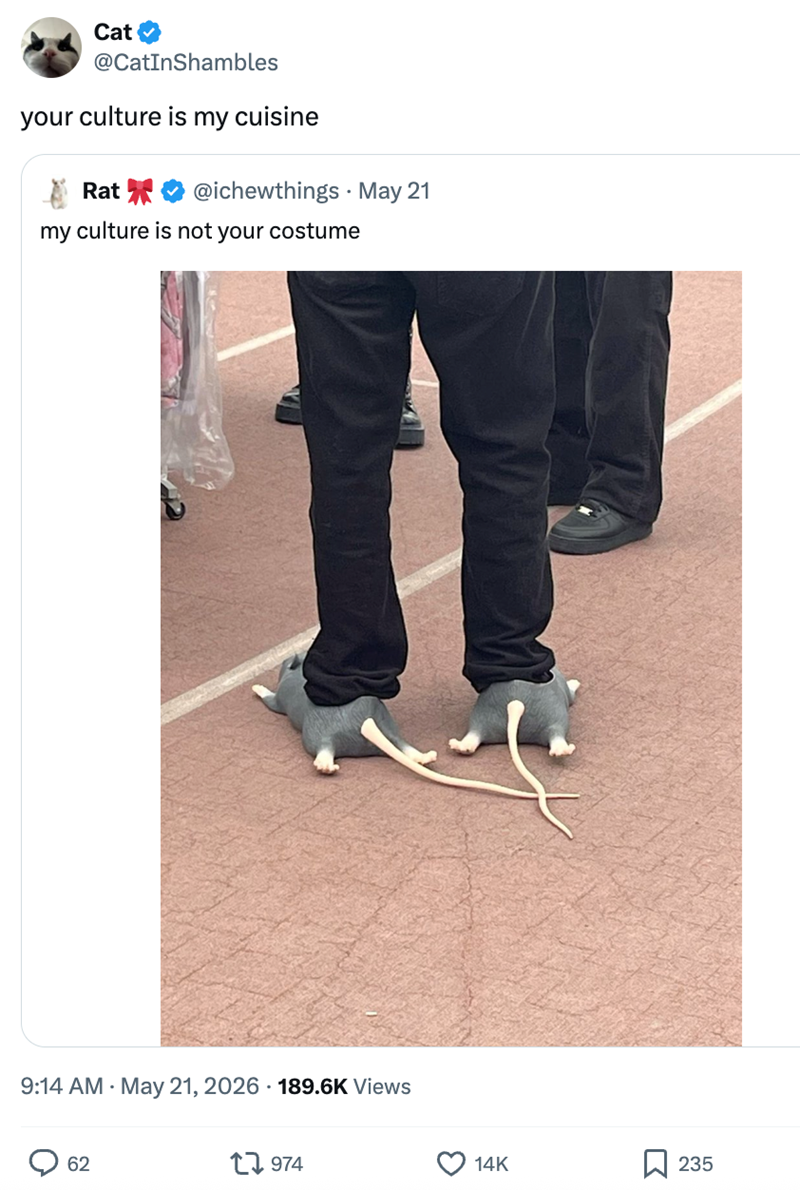 Cat @CatInShambles your culture is my cuisine Rat @ichewthings. May 21 my culture is not your costume 9:14 AM - May 21, 2026 189.6K Views 62 1974 14K Σ 235