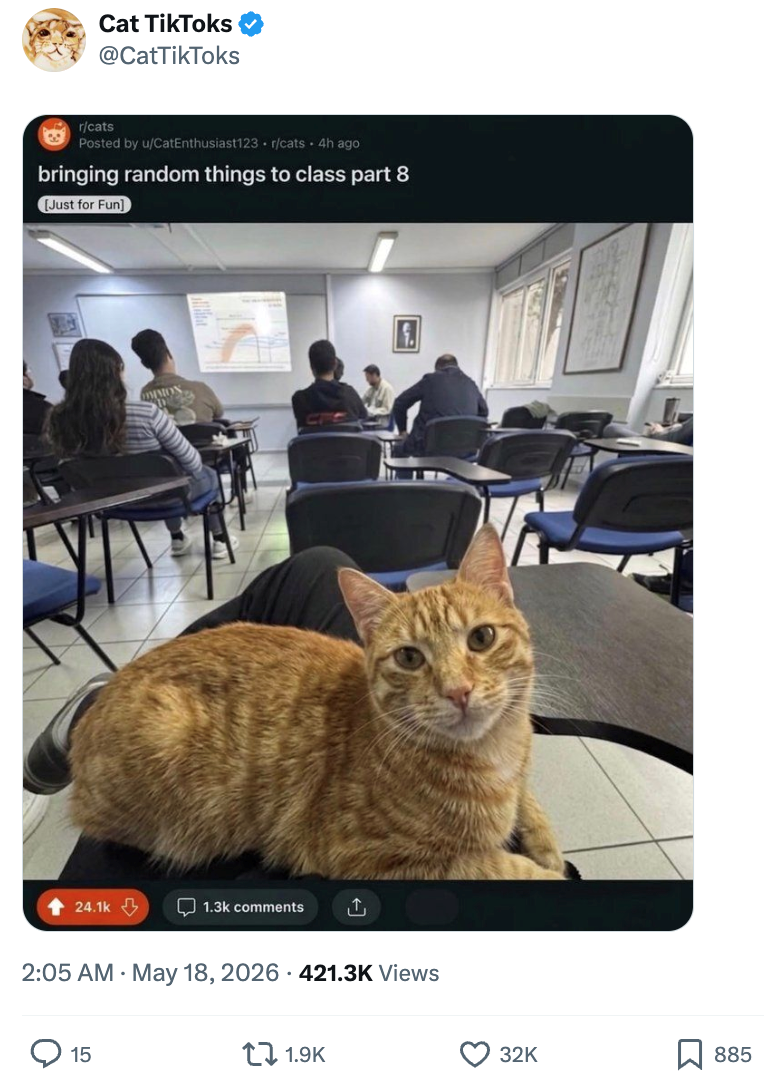 Cat TikToks @CatTikToks r/cats Posted by u/CatEnthusiast123 r/cats + 4h ago bringing random things to class part 8 [Just for Fun] OMMON 24.1k 1.3k comments 山 2:05 AM - May 18, 2026 421.3K Views 15 1.9K 32K R 885