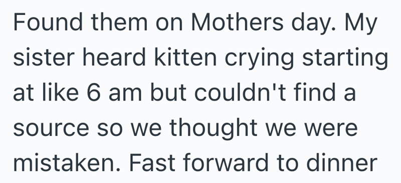 Found them on Mothers day. My sister heard kitten crying starting at like 6 am but couldn't find a source so we thought we were mistaken. Fast forward to dinner