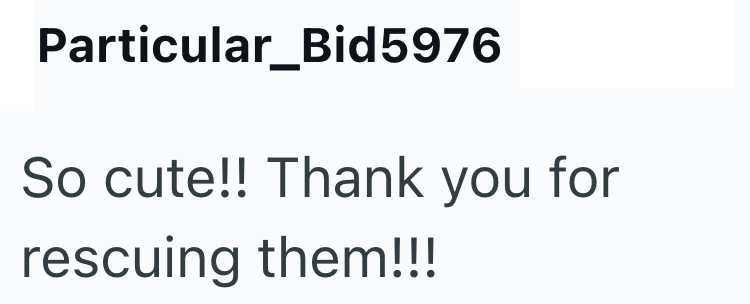 Particular_Bid5976 So cute!! Thank you for rescuing them!!!