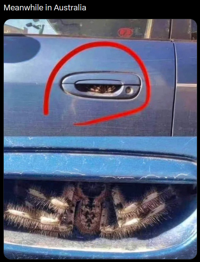 Meanwhile in Australia