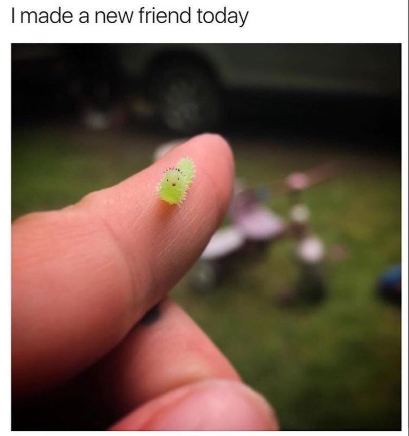 I made a new friend today