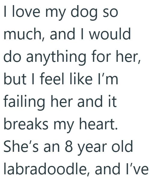 I love my dog so much, and I would do anything for her, but I feel like I'm failing her and it breaks my heart. She's an 8 year old labradoodle, and I've