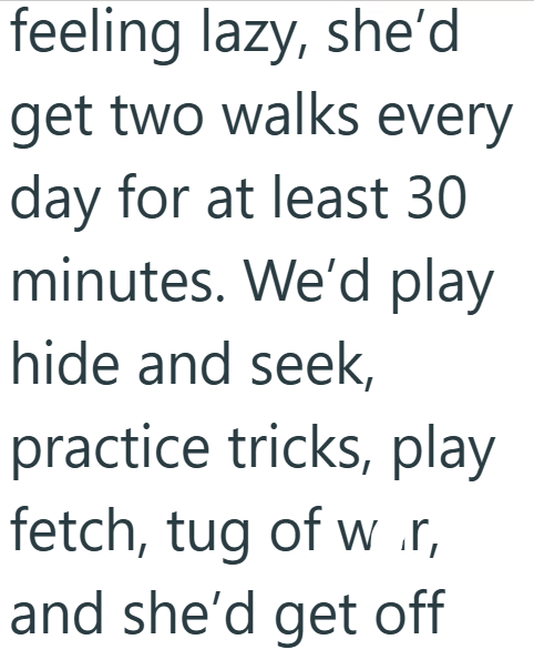 feeling lazy, she'd get two walks every day for at least 30 minutes. We'd play hide and seek, practice tricks, play fetch, tug of w .r, and she'd get off