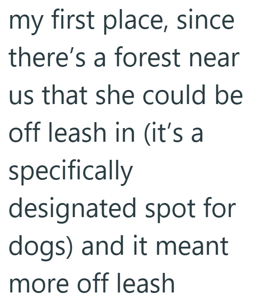 my first place, since there's a forest near us that she could be off leash in (it's a specifically designated spot for dogs) and it meant more off leash