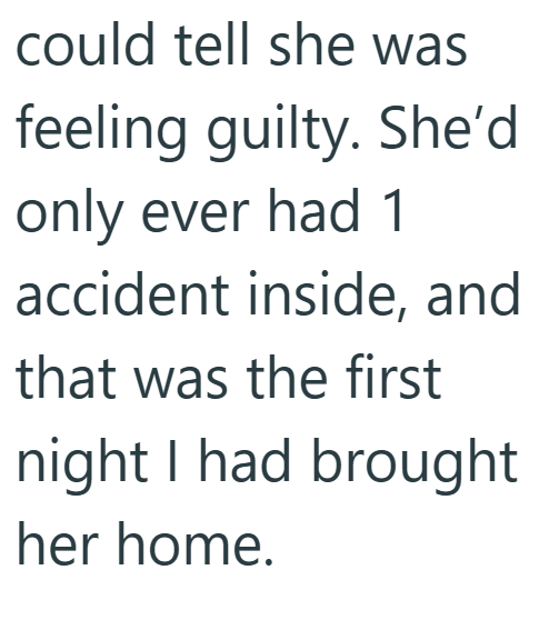 could tell she was feeling guilty. She'd only ever had 1 accident inside, and that was the first night I had brought her home.