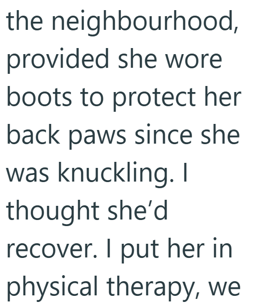 the neighbourhood, provided she wore boots to protect her back paws since she was knuckling. I thought she'd recover. I put her in physical therapy, we