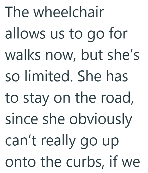 The wheelchair allows us to go for walks now, but she's so limited. She has to stay on the road, since she obviously can't really go up onto the curbs, if we