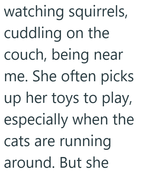 watching squirrels, cuddling on the couch, being near me. She often picks up her toys to play, especially when the cats are running around. But she