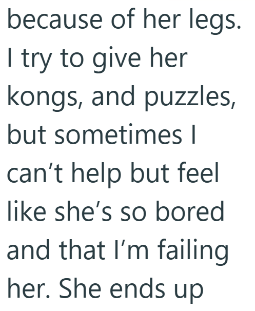 because of her legs. I try to give her kongs, and puzzles, but sometimes I can't help but feel like she's so bored and that I'm failing her. She ends up