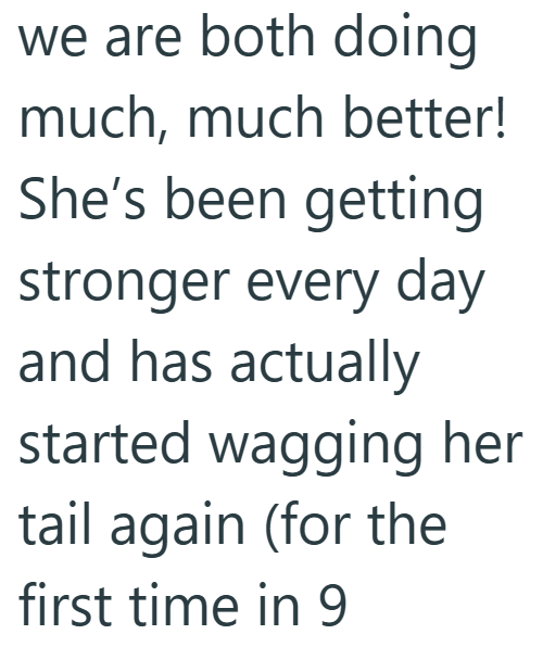 we are both doing much, much better! She's been getting stronger every day and has actually started wagging her tail again (for the first time in 9